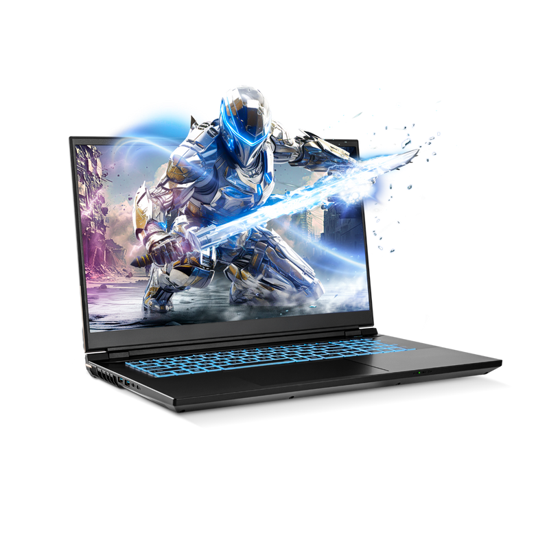 Sager NP8876E Gaming Laptop